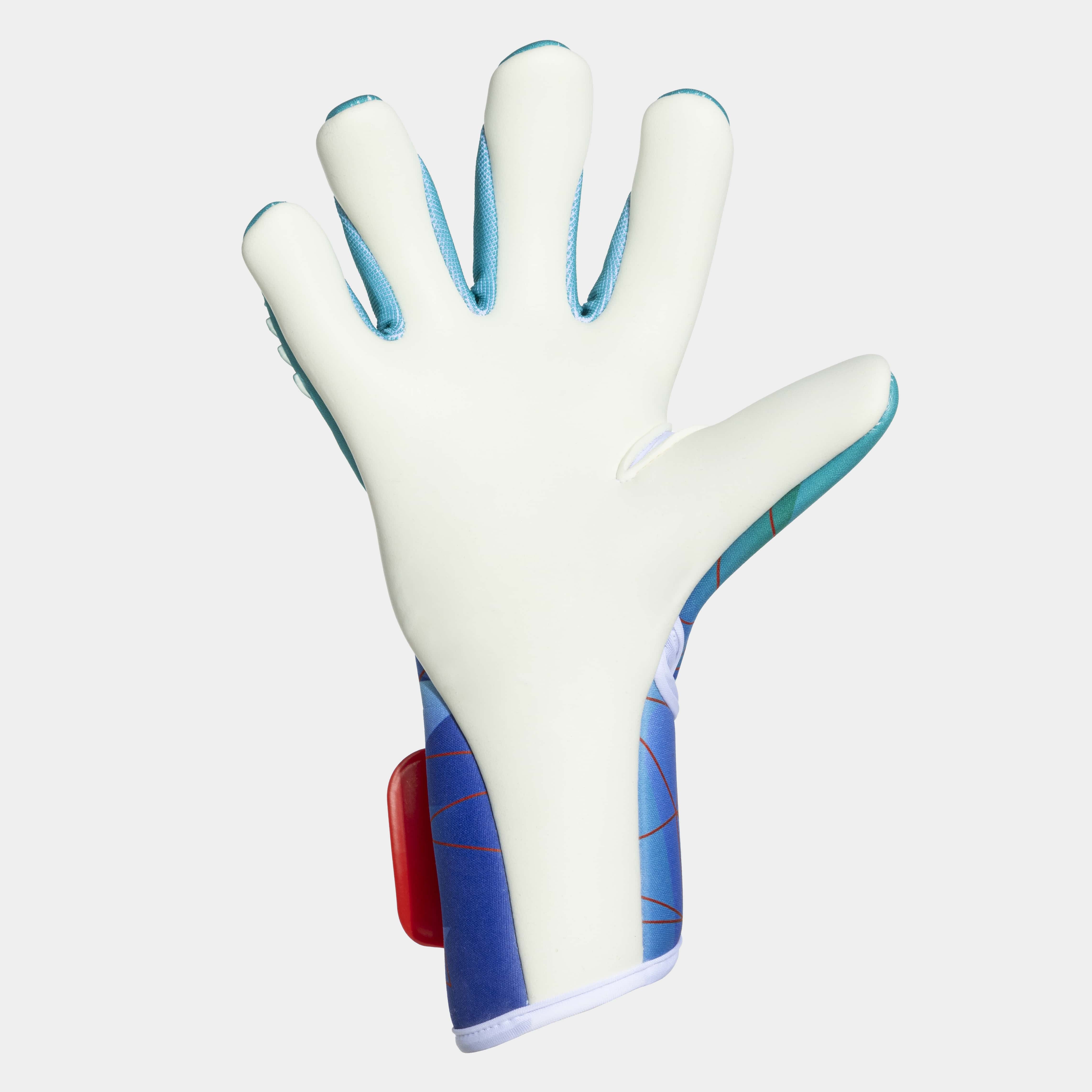 Football goalkeeper gloves Area 24