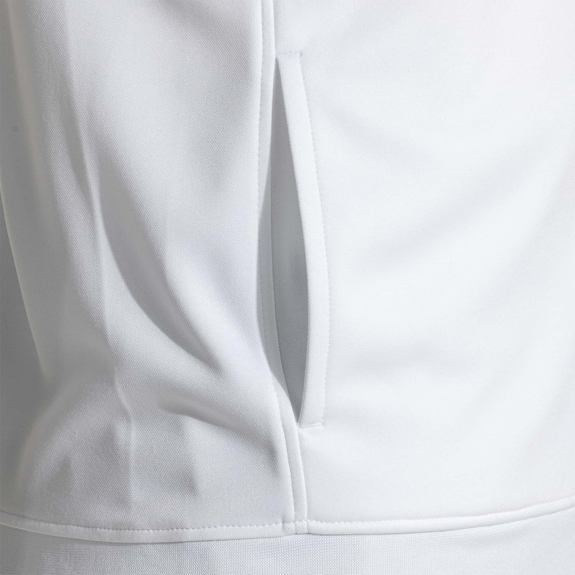 Tracksuit man Lion II