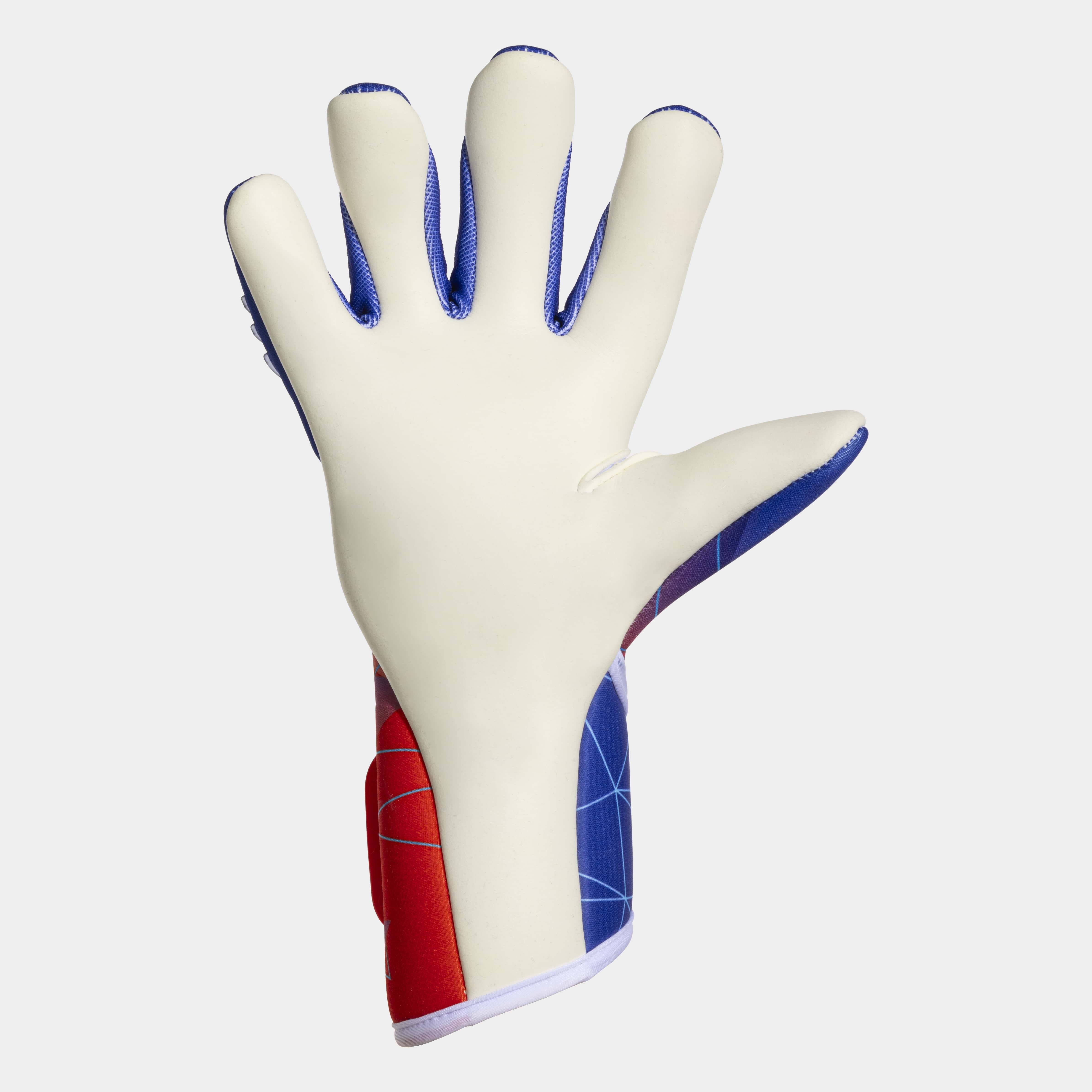 Football goalkeeper gloves Area 24